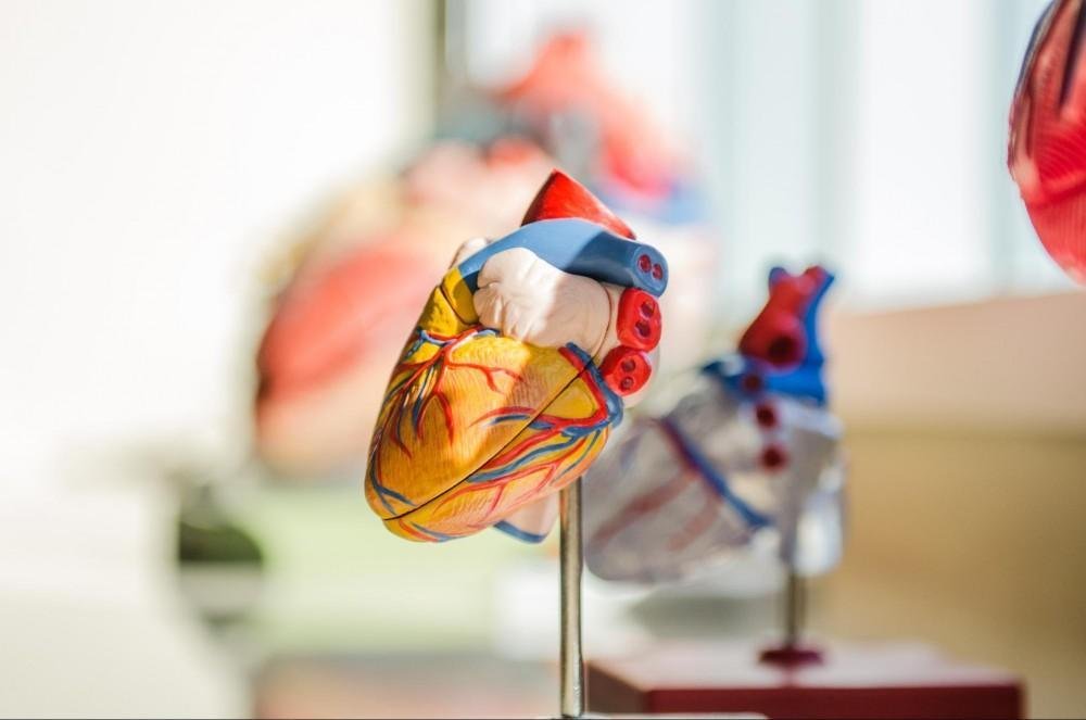 Signs for When To See a Cardiologist