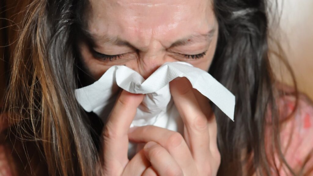 Seasonal Allergies and Their Impact on Productivity